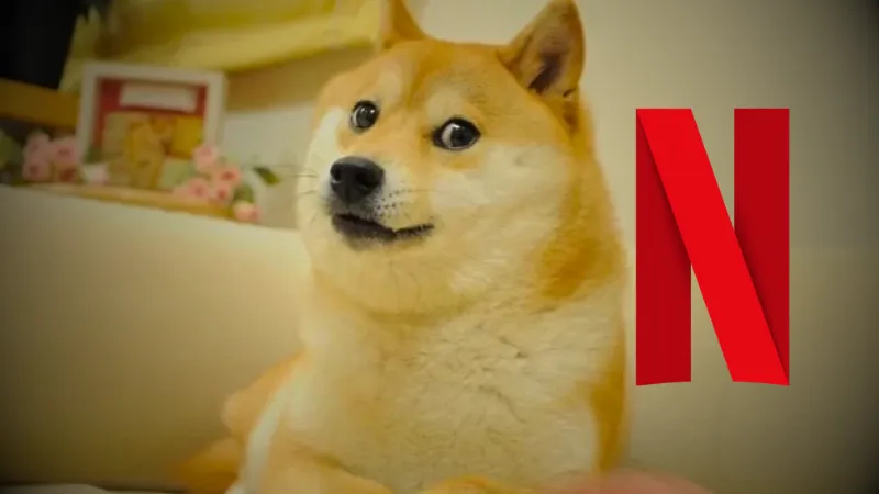 Diretor Netflix - Elon Musk - Dogecoin